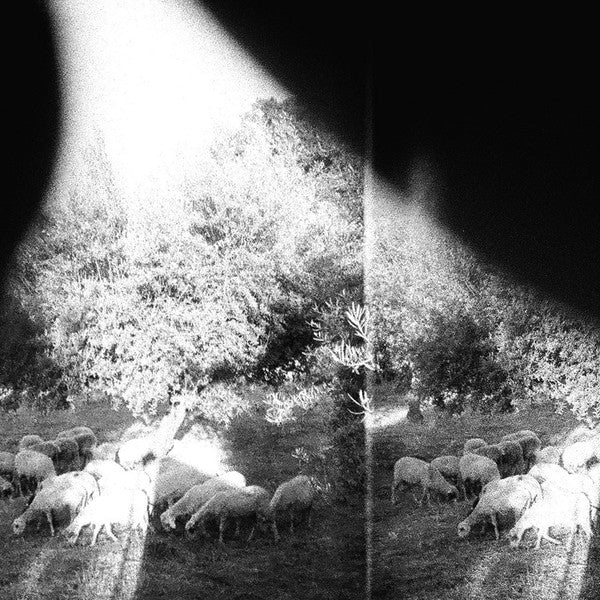 GODSPEED YOU BLACK EMPEROR | ASUNDER SWEET AND OTHER DISTRESS