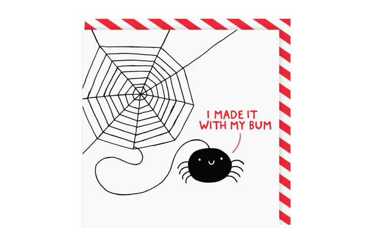 SPIDER WEB MADE WITH MY BUM CARD