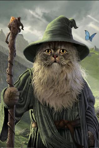 CATDALF LORD OF THE RINGS GANDALF CAT (POSTER) 524 - Image 2