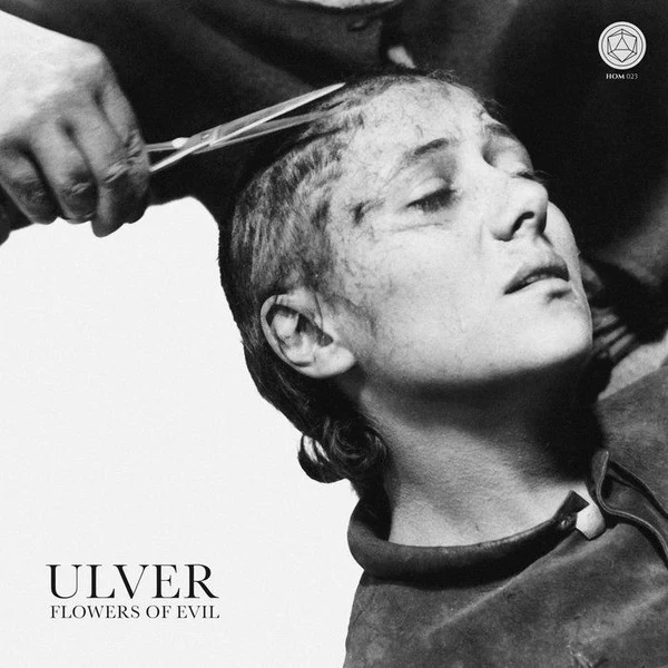 ULVER | FLOWERS OF EVIL - PURPLE - LARGE SEAM SPLIT