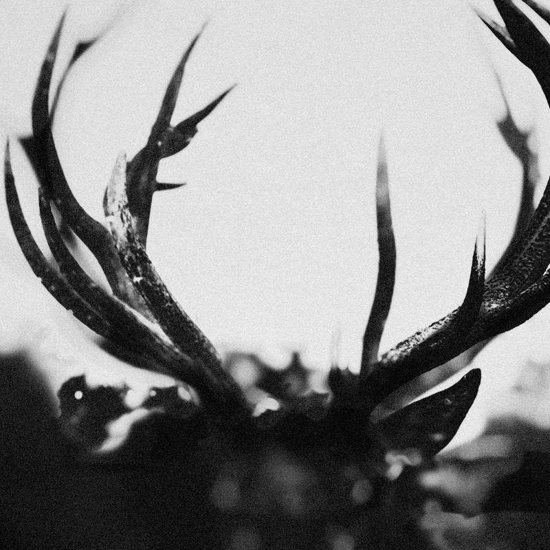 IHSAHN | IHSAHN - 2LP