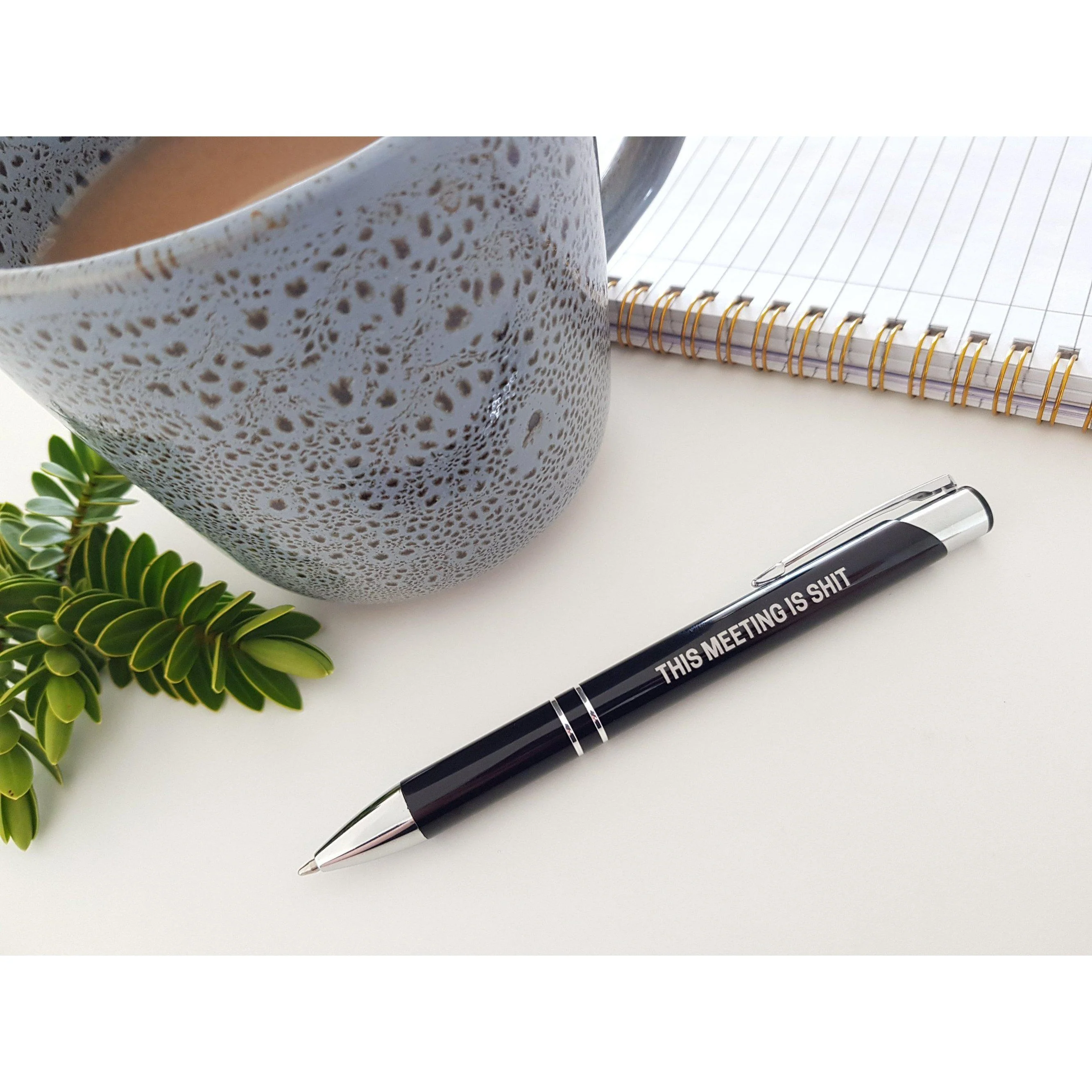 THIS MEETING IS SHIT PEN