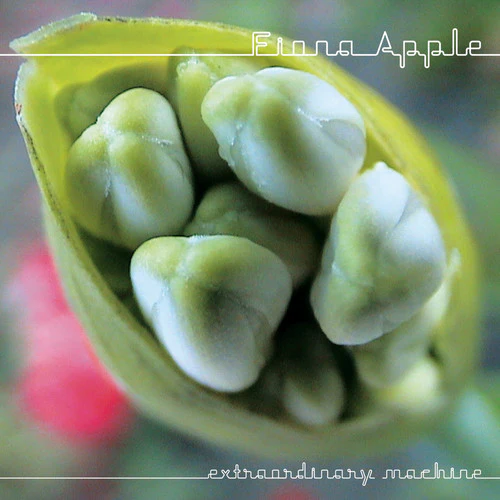 FIONA APPLE | EXTRAORDINARY MACHINE - Image 2