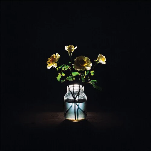 BILLY STRINGS | RENEWAL (2LP SET) (VINYL) - Image 2