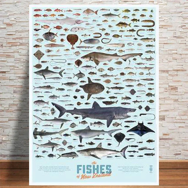 FISHES OF NEW ZEALAND POSTER 638
